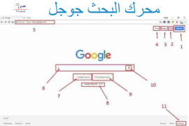 محرك البحث جوجل من محركات البحث الشائعه صح ام خطا