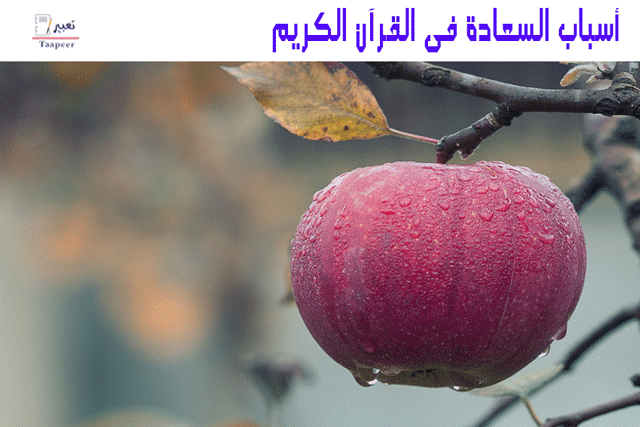 أسباب السعادة في القرآن الكريم 8